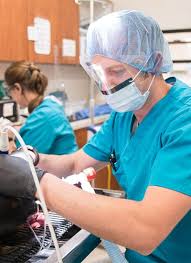 Furthermore, we know that in an. In Need Of An Emergency Vet Ukiah Ca Mendocino Animal Hospital