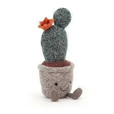 Tadin aloe vera with nopal cactus tea. Jellycat Amuseable Aloe Vera Big Soft Toys Rocket Toys