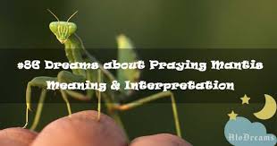 Take a deep breath and make the adjustments needed. 86 Dreams About Praying Mantis Meaning Interpretation