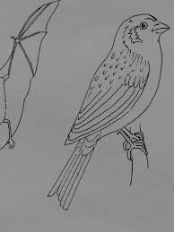 Plus, it's an easy way to celebrate each season or special holidays. Hd Wallpaper Bird Sparrow Animal Coloring Pages Paint Draw Sign Template Wallpaper Flare