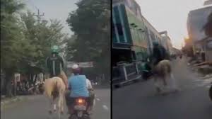 To comply with regulations this website is not available for the territory you are accessing from. Viral Driver Ojol Naik Kuda Putih Di Jalanan Komentar Netizen Itu Pangeran Menyamar Jadi Ojol Halaman All Warta Kota