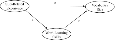 Early Word Learning Skills A Missing Link In Understanding The Vocabulary Gap Shavlik 2021 Developmental Science Wiley Online Library