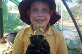 Stephanie Alexander Kitchen Garden Foundation