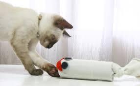 Bantalan untuk tempat tidur kucing di atas ditempel di kaca dan kemudian ditambahkan dengan pengait sebagai penahan saat kucing merebahkan tubuh di atasnya. 9 Mainan Kucing Yang Disenangi Dan Mudah Untuk Dibuat