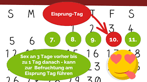 1 4 Schwangerschaftswoche Was Passiert In Der 1 Bis 4 Ssw