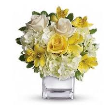 You can also check out our. Flowers Of Distinction 1533 Garden St Titusville Fl Florists Mapquest