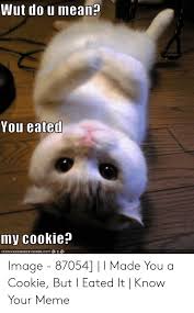 Well i being a scientist beieve that this is the most asked question!=who did eated the cookie?==well im here to tell u that it was i who eated the cookie!!!!!==mwe hahaha!==yes!= 25 Best Memes About You Eated My Cookie You Eated My Cookie Memes