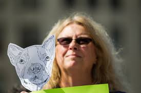 Libre's Law' rally focuses