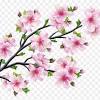 Pink cherry blossom tree illustration, cherry blossom tree , sakura tree transparent background png clipart. Https Encrypted Tbn0 Gstatic Com Images Q Tbn And9gcrsjbdyinwamtibyyh98ykzlsaa5ixy4nfc5uijcialgvsbac9d Usqp Cau