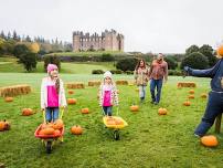 Halloween Happenings