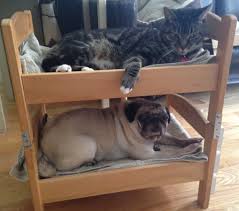 11 Clevere Ikea Hacks Bei Denen Alle Hundemenschen Sagen Das Muss Ich Sofort Nachmachen Hundebett Diy Hunde Etagenbetten Katzen Bett