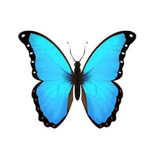 User Search In 2020 Blue Emoji Blue Butterfly Emoji Painting