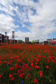 Postal service in liverpool after many dedicated years of service. Poppies On Islington Liverpool Briansimpsons