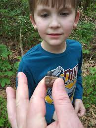 Is Bass River worth visiting with kids?