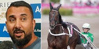 Stjärnhästen Hail Mary skadad