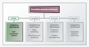 The Swimmers Shoulder A Corrective Exercise Perspective