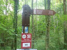 Het mullerthal wordt ook wel klein zwitserland genoemd vanwege zijn zandsteenformaties, natuurschoon en beekjes met watervallen. Mullerthal Trail Retour Aux Sources
