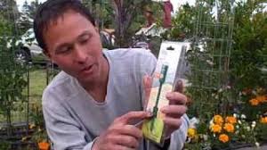 However, this does not mean watering one time per week. How Much And When To Water The Plants In Your Vegetable Garden Youtube