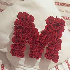 Pin On Love Ms