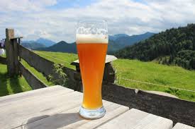 Brew your best beer ever. A Beginner S Guide To The Best German Beers Rough Guides