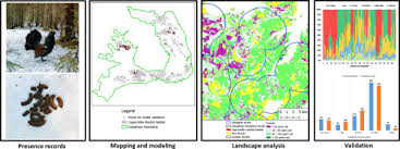 Il vor ucide pe robert kennedy de marc dugan , 2018. Capercaillie Tetrao Urogallus Habitat In Romania A Landscape Perspective Revealed By Cold War Spy Satellite Images Sciencedirect