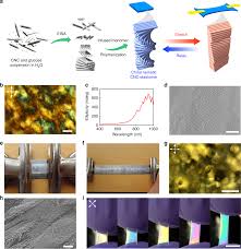 Unwinding A Spiral Of Cellulose Nanocrystals For Stimuli