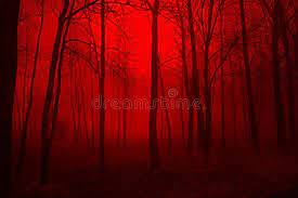 Deep In The Woods Foggy Woods In Winter With A Red Filter Ad Foggy Woods Deep Woods Filter Ad Foggy Woods Foggy Forest Stock Photography Free