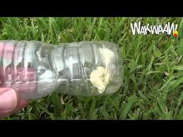 Ada bermacam cara menangkap ikan belanak. Aneh Tapi Nyata Mancing Pakai Botol Larutan Hasilnya Banyak By Dokteredd