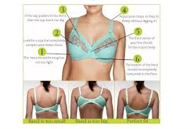 As bra fitting is a very complicated process, we have a lot of information contained in our various we highly recommend measuring yourself regardless of how your current bras fit if this is your first time it should indent the skin slightly, and you should hold the tape as tight as you would want a bra to feel. Proper Fitting Bra Pictures 62 Off Novabetelcontabilidade Com Br