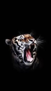 chico on twitter wild animal wallpaper tiger artwork animal wallpaper