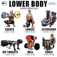 Bulking Stack Review Get Jacked With 4 Legal Steroids Fitness Body Workout Splits Lower Body Workout