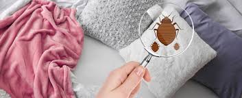 This article features some of the best bed bug detectors in the market to help detect these little nasty pest. How To Find Bed Bugs And Get Rid Of Them Take Care Termite