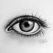 Draw drawing tutorial how to draw pencil drawing 3d drawing lessons painting a goldfish. à®¤ à®° à®µà®Ÿ à®® à®¯ à®ª à®° à®³ Eye Drawing Eye Sketch Easy Eye Drawing