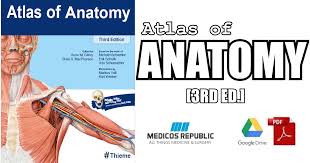 Anatomy • free medical books. Thieme Atlas Of Anatomy 3rd Edition Pdf Free Download Direct Link