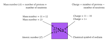 Starting with sodium (na), it has an atomic number of 11 and therefore has 11 protons and 11 electrons (in the neutral atom). Lesson Explainer Atomic Numbers And Mass Numbers Nagwa