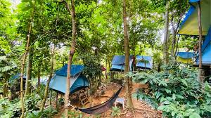 Small in size, it suits best for guests whom prefer privacy over anything janda baik, continue to the highway until you see abc camp and hawa camp on the left and continue a little more and you will arrive at eryabysuria. Malaysia Truly Asia The Official Tourism Website Of Malaysia