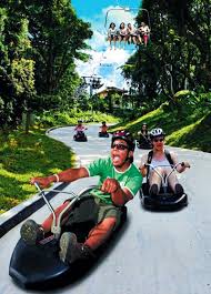 Sentosa Luge In 2020 Singapore Attractions Holiday In Singapore Singapore Photos