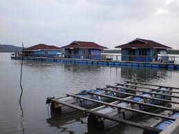 Jetty pulau aman seolah olah sedia menanti setiap pengunjung yang datang. Chalet Terapung Persatuan Nelayan Kuala Segantang Garam Merbok Kedah Go Cuti