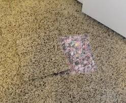 Browse articles » home & family » how to fix burn holes in carpet? Pin On Handy Hints