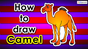 Mark off the width and height of the bactrian camel. How To Draw Camel Step By Step Easy Drawing For Kids Welcome To Rgbpencil