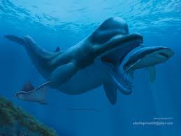 Image result for Zygotritonia