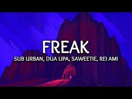 Sub Urban Dua Lipa Freak Lyrics Ft Saweetie Rei Ami Mashart Remix Youtube Lipa Rei Remix