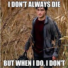 15 Hilarious Harry Potter Memes Only True Fans Will Understand Harry potter fans these days. 15 hilarious harry potter memes only