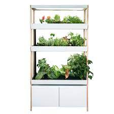 Double Family Garden Indoor Hydroponic Garden By Rise Gardens Rise Gardens Us In 2021 Family Garden Indoor Garden Hydroponic Gardening