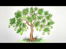 Shamim Art Academy How To Draw Guava Tree Step By Step Very Easy Draw a guava with just a few simple steps, guinea fowls are oval shaped, with many green veins. draw guava tree step by step