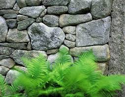 While building the wall, the mason can rely on the adhesive properties of the mortar to hold the stones in. The Art Of The Dry Stack Stone Wall Insteading