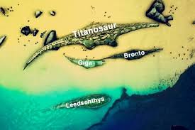 The hard and easy underwater caves (big blue dots on his map) have some nice loot. The Biggest 4 Dinos On The Island Comparison Ark