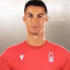 fred naylor (@frednaylor3)