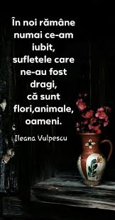 Www Vreaudespagubiri Ro Prima Firmă Specializată In Managementul Despăgubirii Victimelor Accidentelor Rutiere Este Partenerul Vic True Words Insta Posts Words