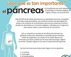 Por Que Es Tan Importante El Pancreas Salud Y Bienestar Consejos Para La Salud Salud Y Nutricion